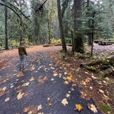 Review photo of Staircase Campground - Olympic National Park by L & J L., October 25, 2021