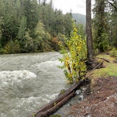 Review photo of Staircase Campground - Olympic National Park by L & J L., October 25, 2021