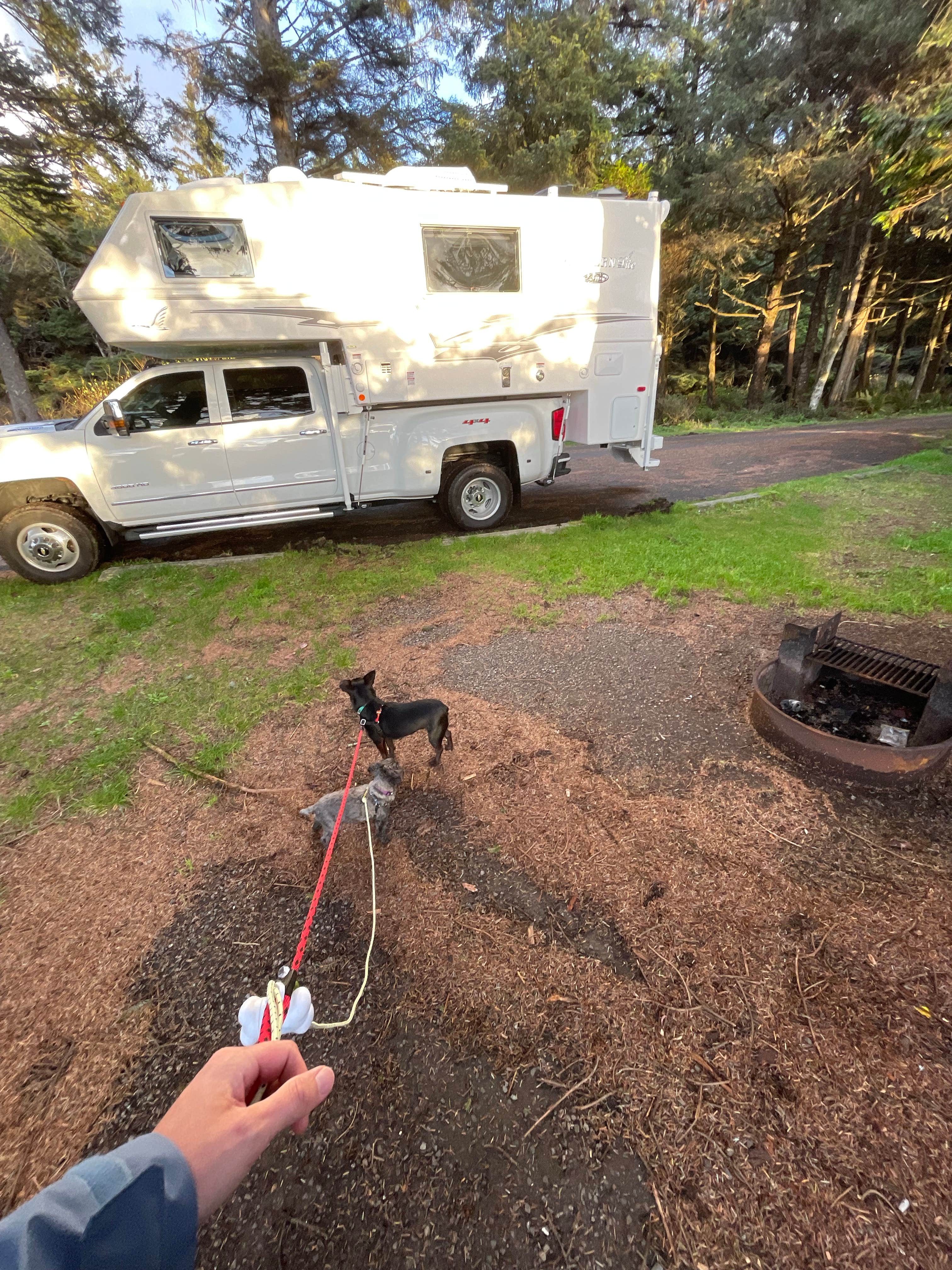 L & J L.'s photo of camping with pets at Kalaloch Campground - group — Olympic National Park near La Push, WA