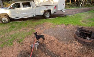 L & J L.'s photo of camping with pets at Kalaloch Campground - group — Olympic National Park near La Push, WA