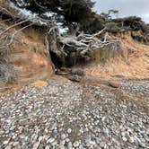 Review photo of Kalaloch Campground - group — Olympic National Park by L & J L., November 8, 2021