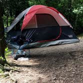 Review photo of Tennison Bay Campground — Peninsula State Park by Amanda L., July 8, 2018