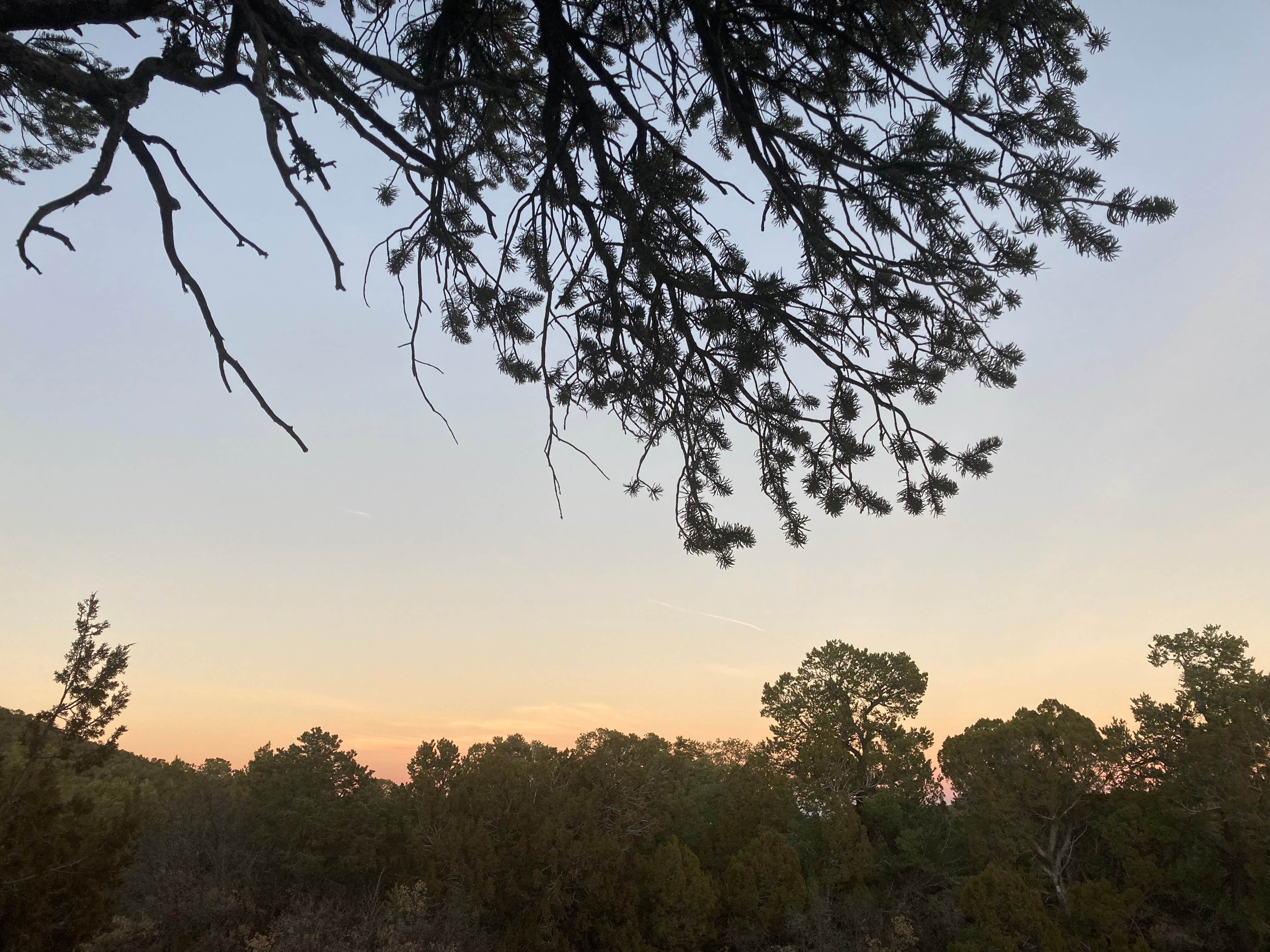 Lily H.'s photo of a dispersed camping area at Dispersed Camping off FS 542 near Corrales, NM