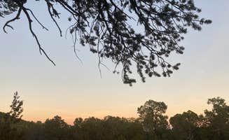 Lily H.'s photo of a dispersed camping area at Dispersed Camping off FS 542 near Bernalillo, NM