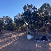 Review photo of Dispersed Camping off FS 542 by Lily H., December 6, 2021