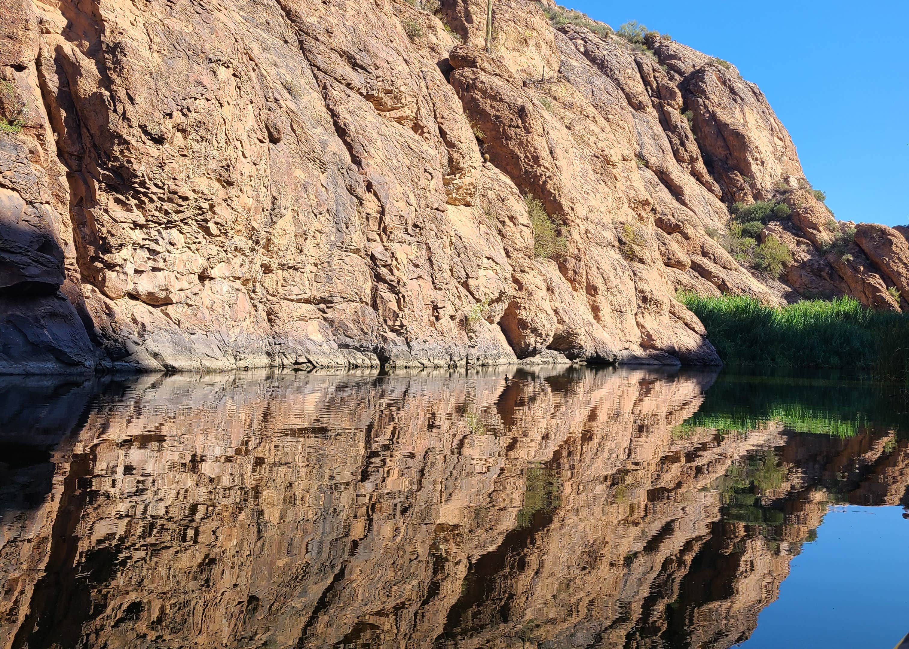 are dogs allowed at canyon lake az