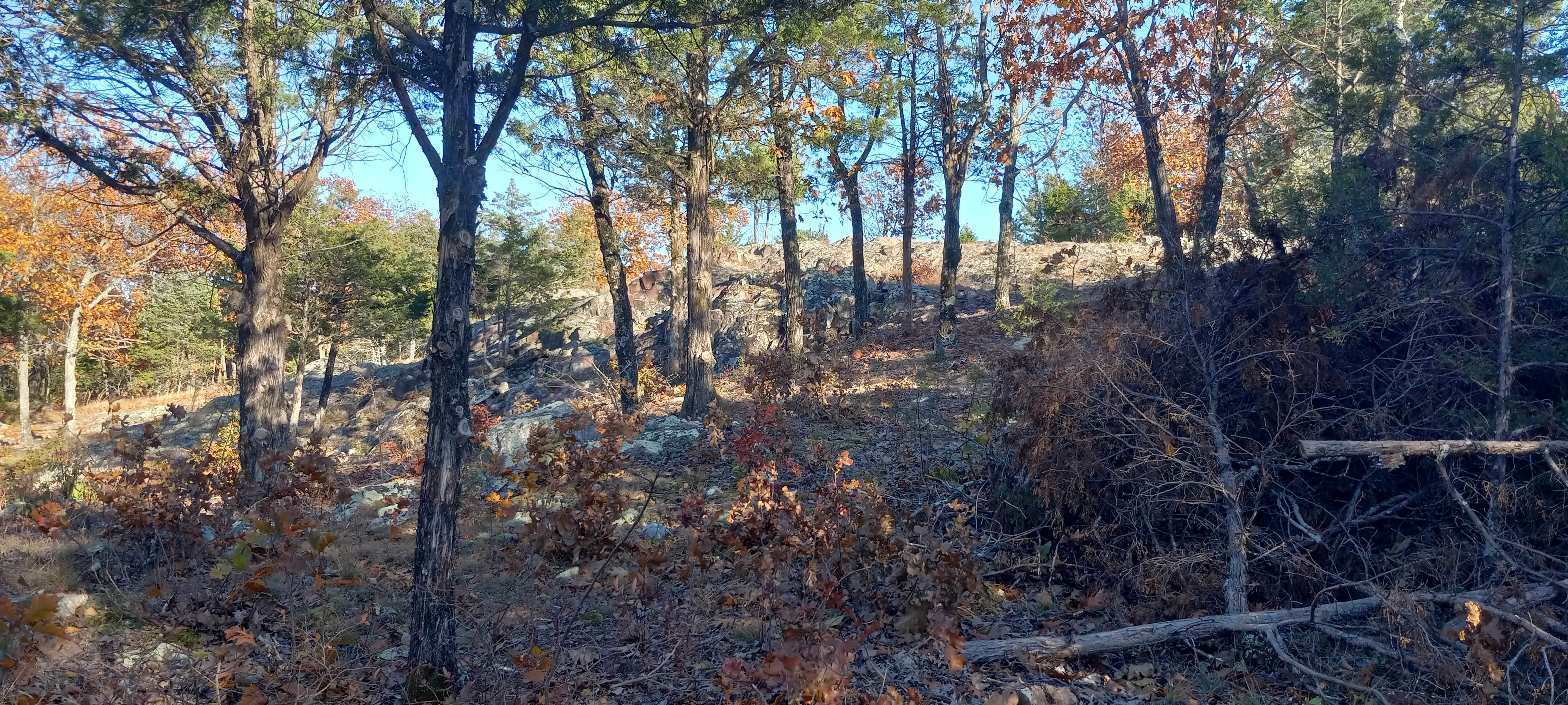 Camping near Cherokee Landing: Pruitt Mountain Adventures, Belleview, Missouri