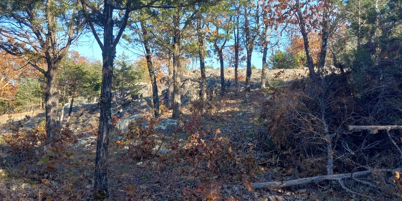 Camper submitted image from Pruitt Mountain Adventures