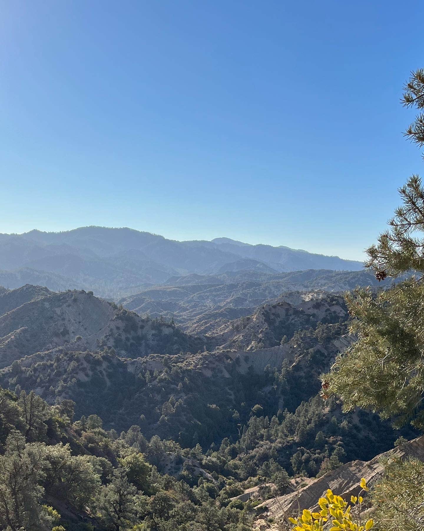 Camper-submitted photo at Halfmoon Campground near Tehachapi, CA