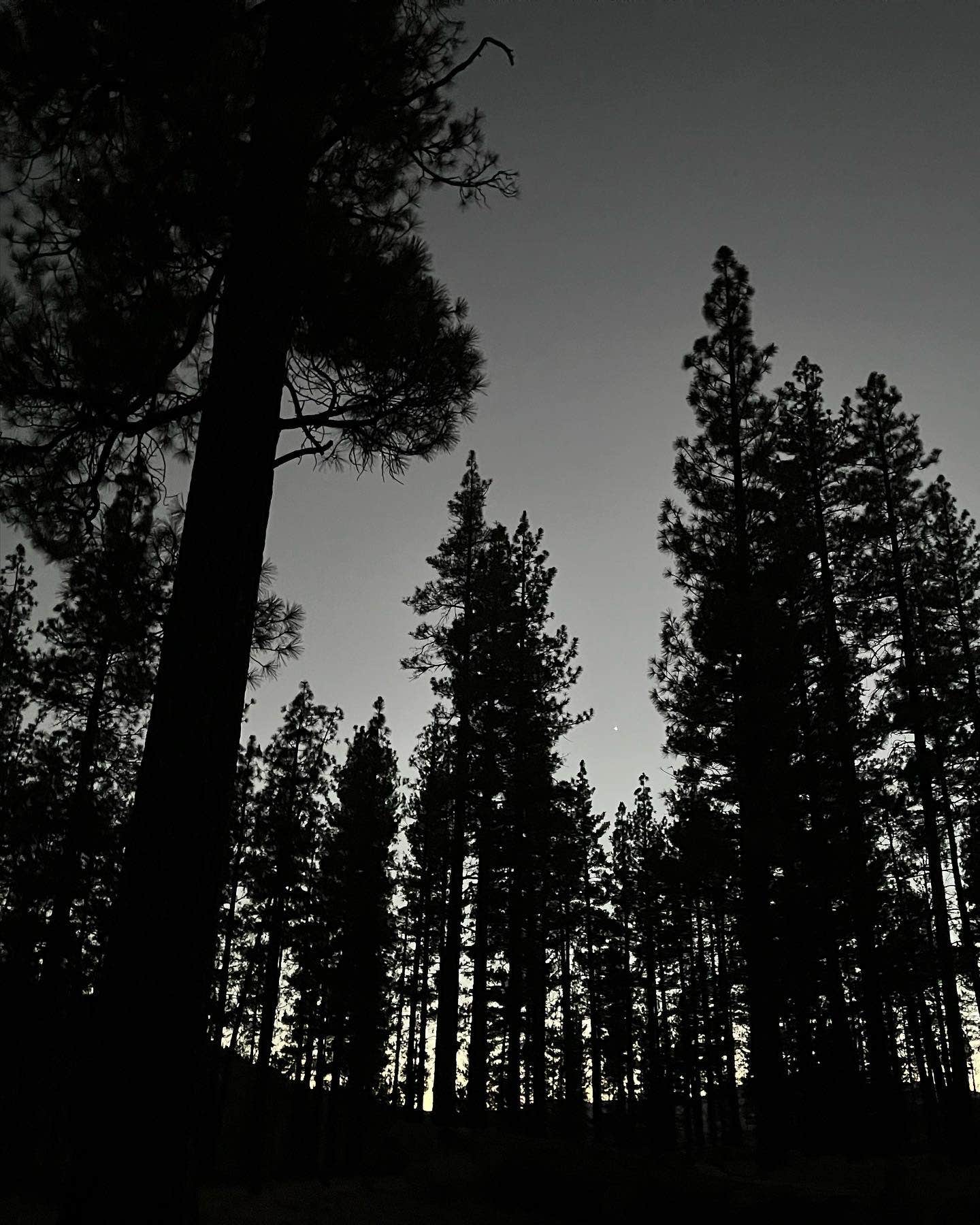 Camper-submitted photo at Halfmoon Campground near Tehachapi, CA