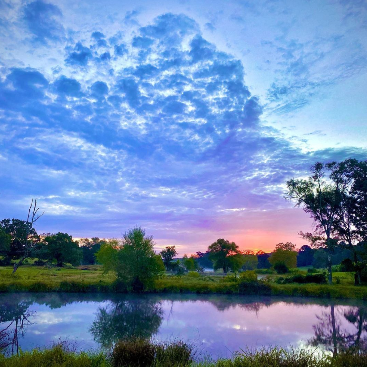 Camper-submitted photo at Willows At Watson near Vandervoort, AR