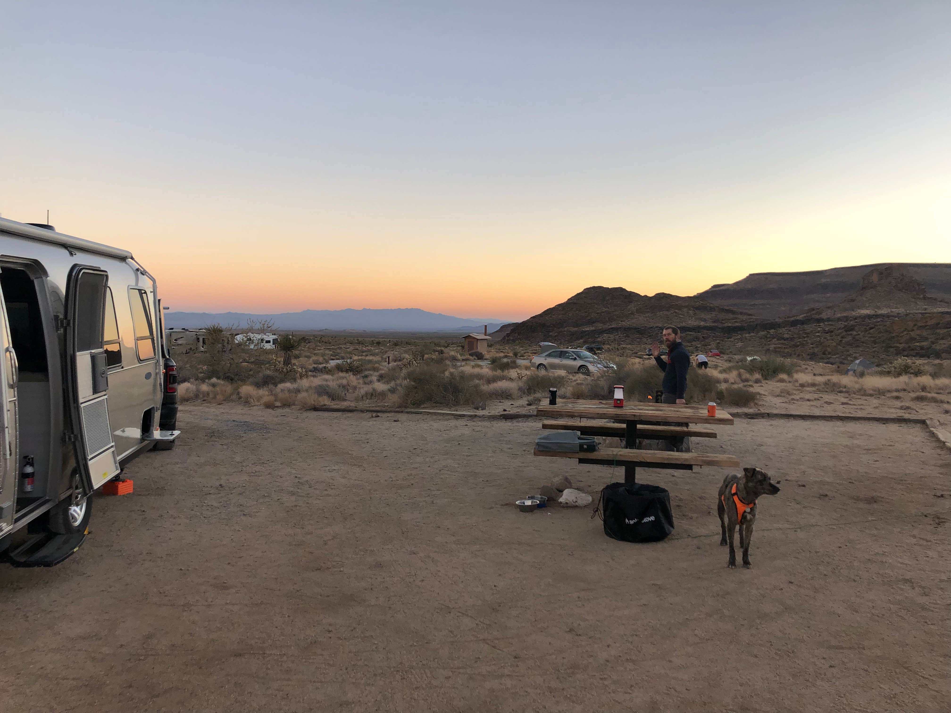 Paula P.'s photo of camping with pets at Hole In The Wall Campground — Mojave National Preserve near Laughlin, NV