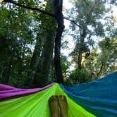 Review photo of Dogwood Campground — O'Leno State Park by Alyssa M., July 8, 2018