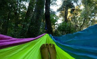 Alyssa M.'s photo at Dogwood Campground — O'Leno State Park near Gainesville, FL