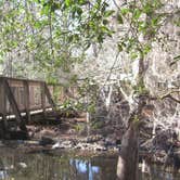 Review photo of Dogwood Campground — O'Leno State Park by Alyssa M., July 8, 2018