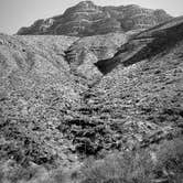 Review photo of Oliver Lee Memorial State Park — Oliver Lee State Park by Myra T., December 7, 2021