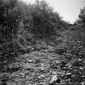 Review photo of Oliver Lee Memorial State Park — Oliver Lee State Park by Myra T., December 7, 2021