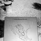 Review photo of Oliver Lee Memorial State Park — Oliver Lee State Park by Myra T., December 7, 2021