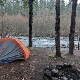 Dispersed camping near McNeil Campground