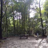 Review photo of Dogwood Campground — O'Leno State Park by Alyssa M., July 8, 2018