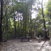 Review photo of O'Leno State Park Campground by Alyssa M., July 8, 2018