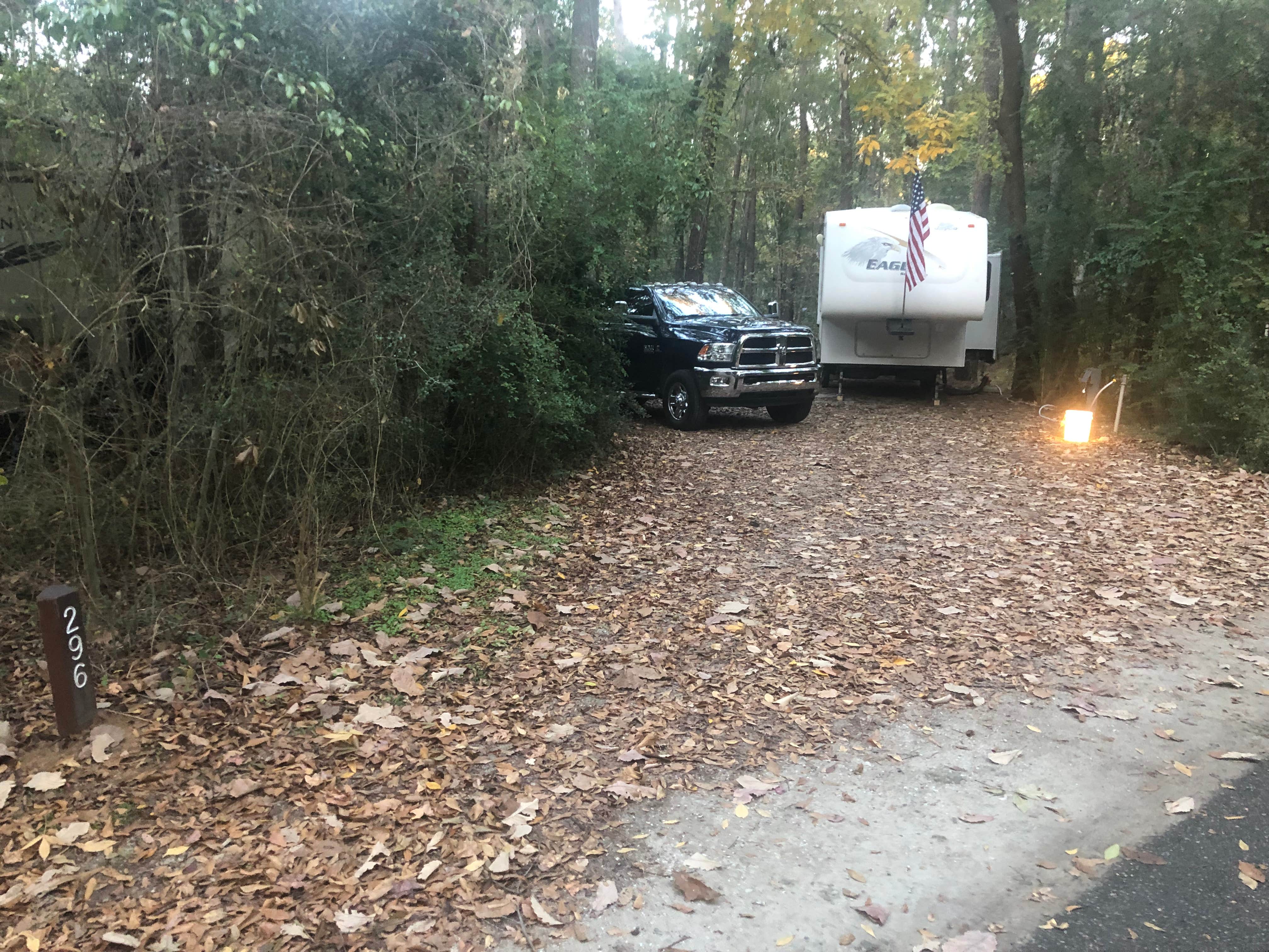 Roger W.'s photo at Myrtle Beach State Park Campground near Georgetown, SC