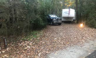Roger W.'s photo at Myrtle Beach State Park Campground near Georgetown, SC