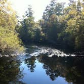 Review photo of Dogwood Campground — O'Leno State Park by Alyssa M., July 8, 2018