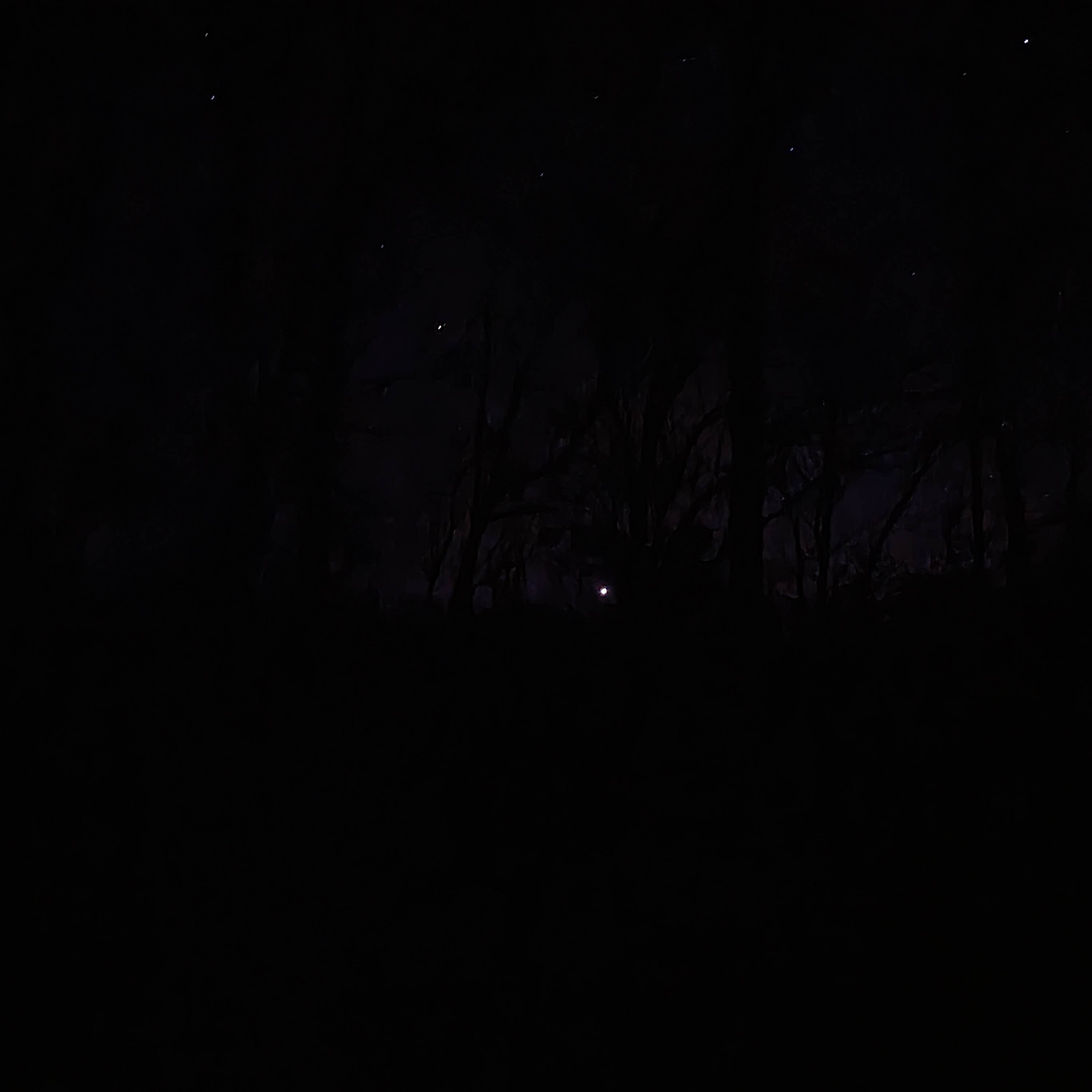 Camper-submitted photo at Youngs Creek Horse Camp near French Lick, IN