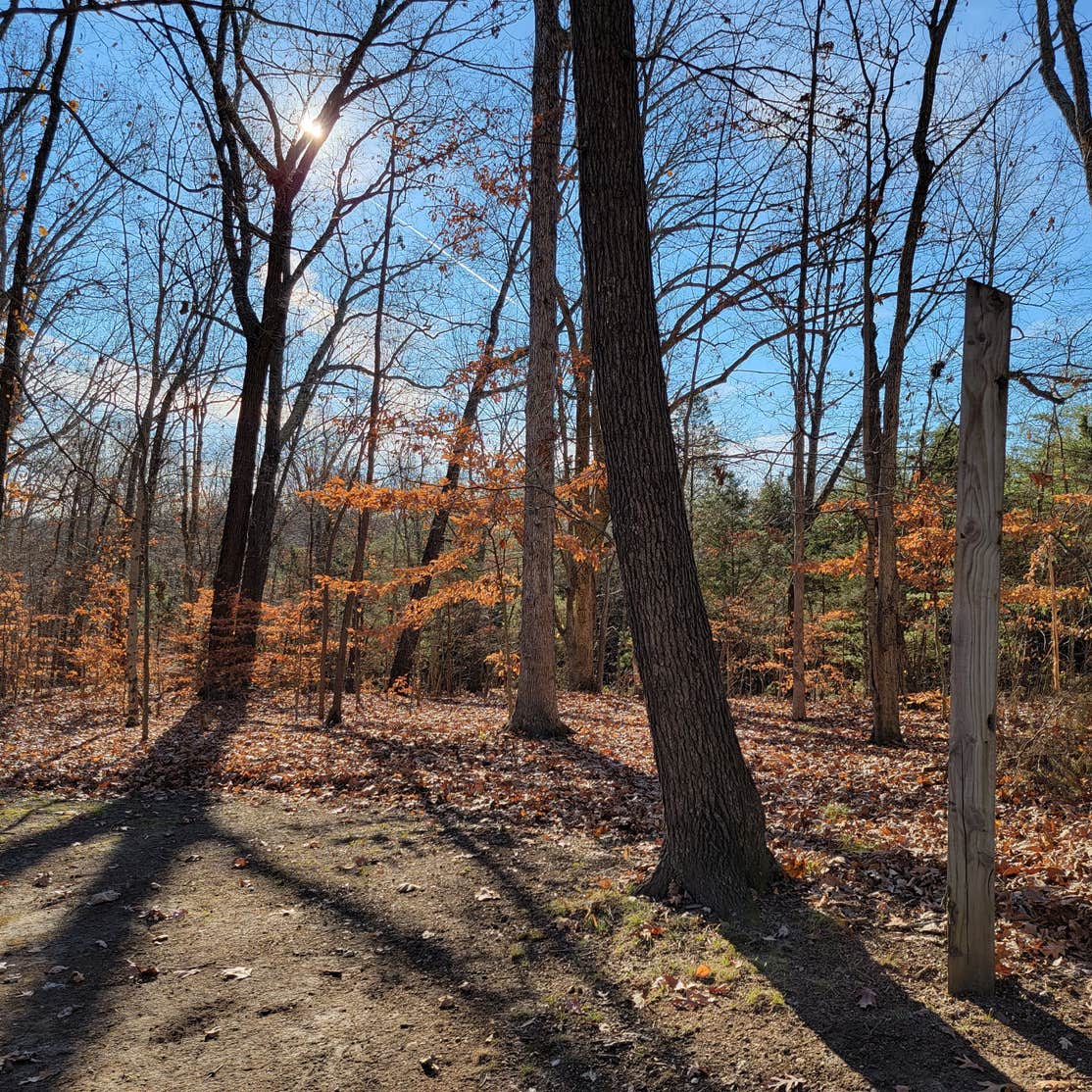 Youngs Creek Horse Camp | Paoli, IN