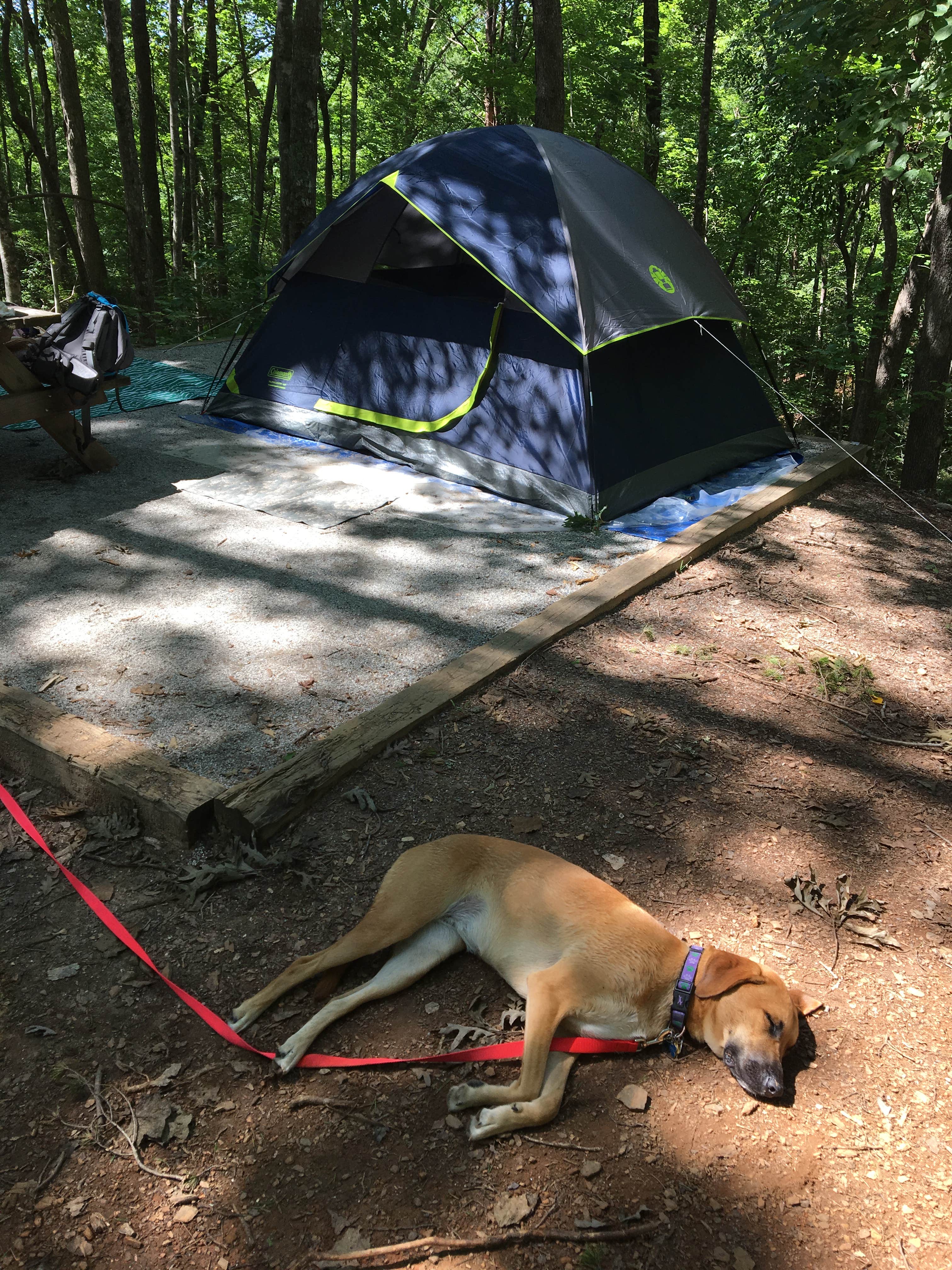 Samantha R.'s photo at Keowee-Toxaway State Park near Central, SC