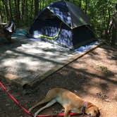 Review photo of Keowee-Toxaway State Park by Samantha R., July 8, 2018