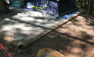 Samantha R.'s photo at Keowee-Toxaway State Park near Pickens, SC