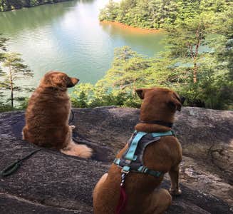 Camper-submitted photo from Keowee-Toxaway State Park