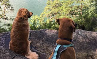 Samantha R.'s photo of camping with pets at Keowee-Toxaway State Park near Sunset, SC