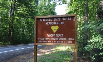 Camping near Prancing Deer Farm: Blackbird State Forest Campground, Townsend, Delaware
