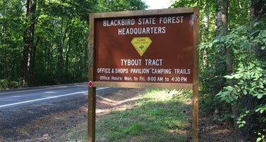 Blackbird State Forest Campground