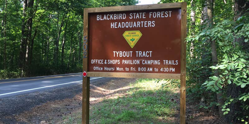 Camper submitted image from Blackbird State Forest Campground - CLOSED TIL FURTHER NOTICE