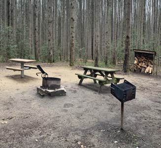 Camper-submitted photo from Blackbird State Forest Campground