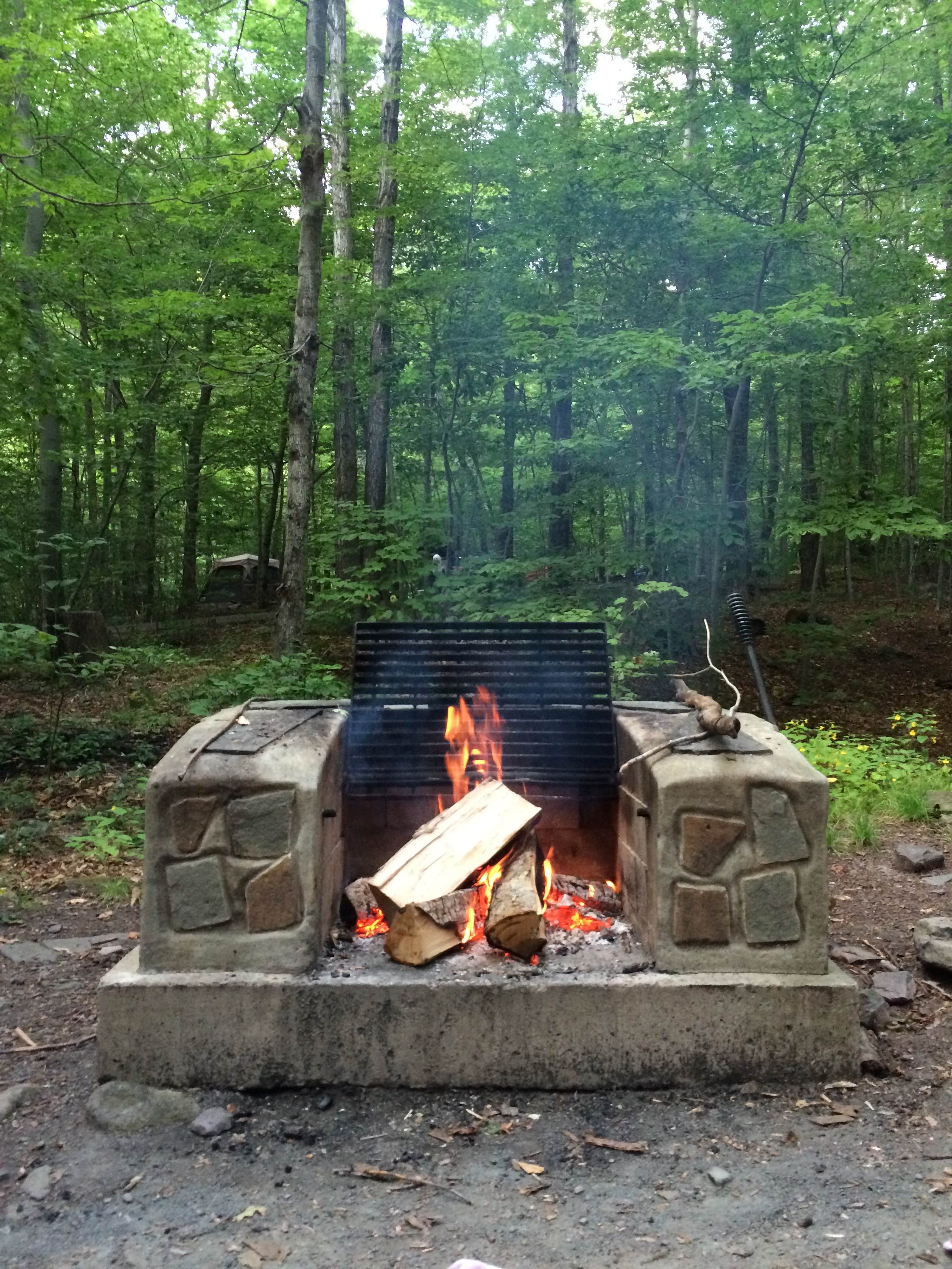 Camper submitted image from Devil's Tombstone Campground - 4