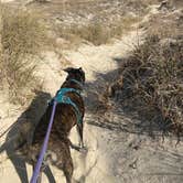 Review photo of Oregon Inlet Campground — Cape Hatteras National Seashore by Sarah S., December 7, 2021