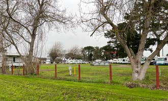 Camping near Johnny's At The Beach: Humboldt County Fairgrounds, Ferndale, California