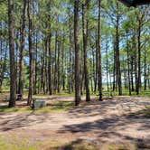 Review photo of Jellystone Park™ Chincoteague Island by David S., December 8, 2021