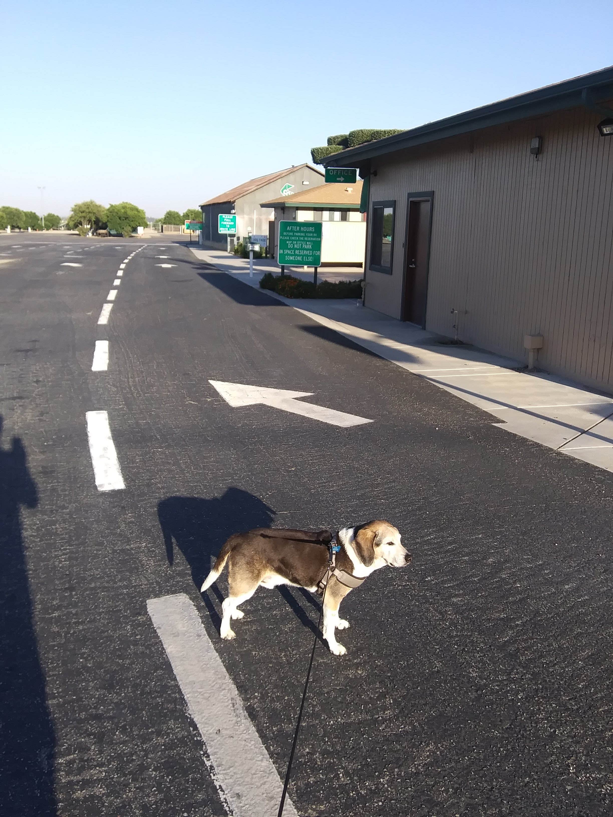 Coddiwompling F.'s photo of camping with pets at Orange Grove RV Park near Bakersfield, CA
