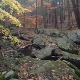 Review photo of Clarence Fahnestock State Park — Clarence Fahnestock Memorial State Park by Becky G., July 8, 2018