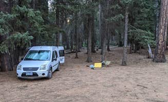 Sarah R.'s photo at Black Pine Dispersed Camping near Sisters, OR