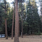 Review photo of Black Pine Dispersed Camping by Sarah R., December 8, 2021