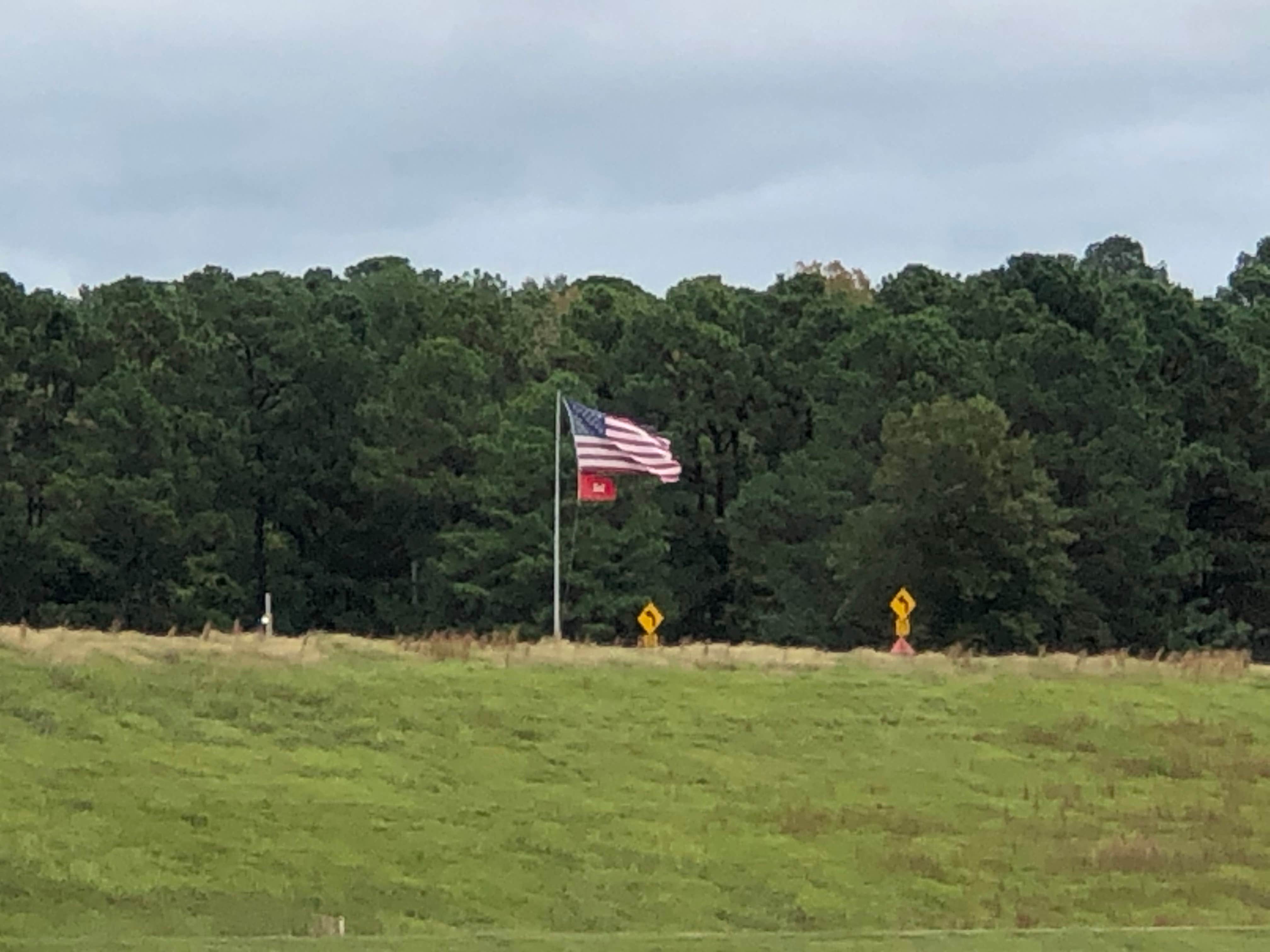 Camper submitted image from Beard's Lake Campground - 4