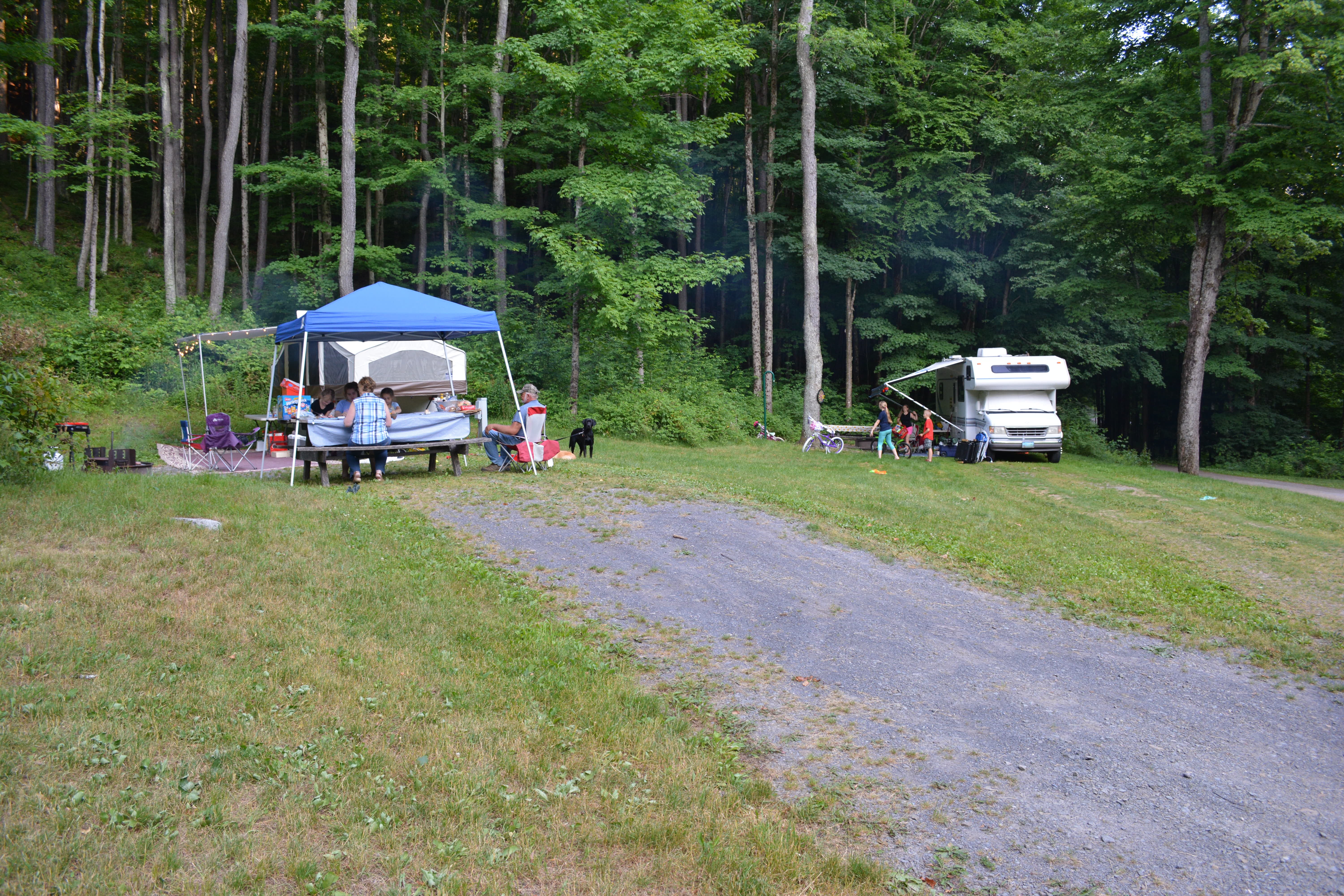 Camper submitted image from Lyman Run State Park Campground - 1