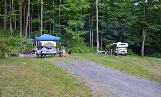 Camping near Canned Ham Camp: Lyman Run State Park Campground, Galeton, Pennsylvania